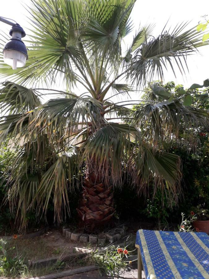 Rez De Chaussee Studio Climatise Dans Villa Aigues-Mortes Dış mekan fotoğraf